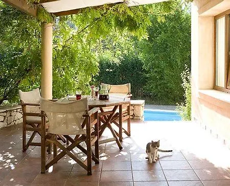Olivetto