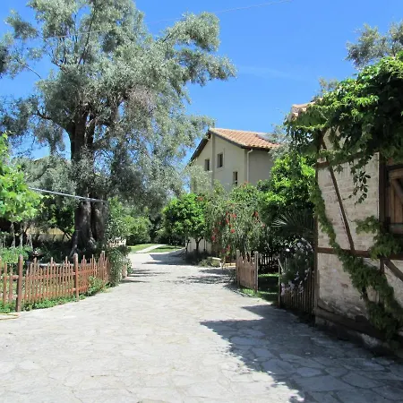 Olivetto Villa