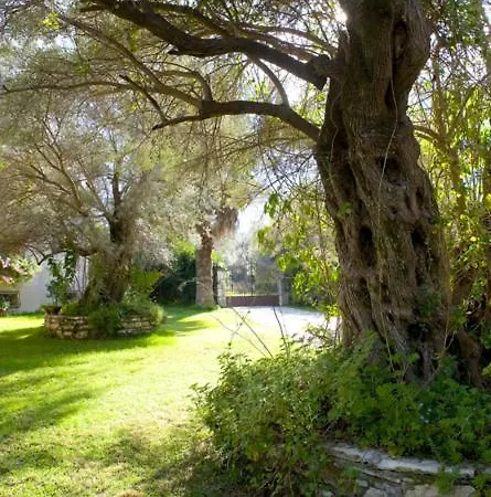 Villa Olivetto Lefkada City