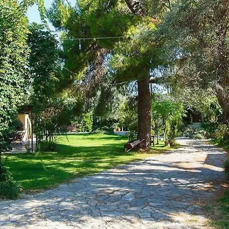 Villa Olivetto